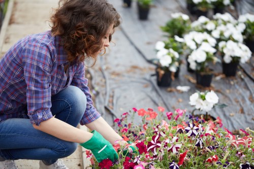 A woman kneeling in a garden bed under an outdoor setting with natural daylight, tending to colourful flowering plants such as pink, purple, and white blooms. She is wearing a plaid shirt, blue jeans, and green gardening gloves, carefully planting or pruning the flowers. The garden features neatly arranged flower beds with rich, dark soil and a backdrop of other potted plants with white flowers, arranged on a paved or mulched surface. The surrounding environment appears well-maintained, indicative of professional garden care or landscaping in an outdoor space within the Enfield area, with a focus on floral displays and garden tidiness that highlights gardening services offered by Lawn Mowing Enfield. The scene emphasizes seasonal gardening activity and plant care with natural light illuminating the vibrant colours, contributing to a lush and inviting garden setting for outdoor gardening and landscaping enhancement.