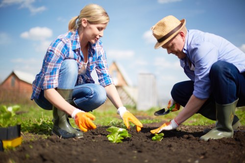 Community volunteers collecting composted mulch