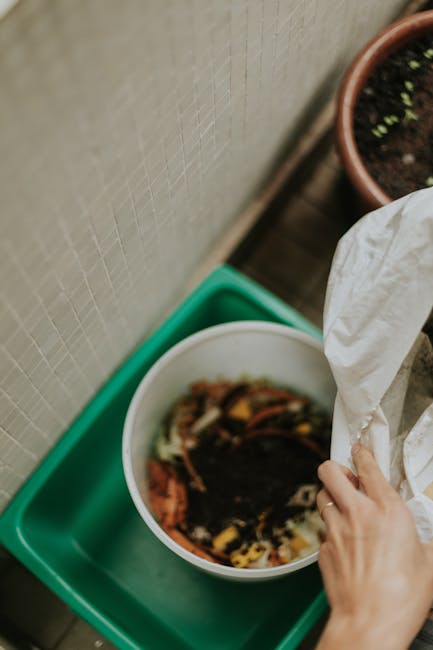 A close-up view of gardener's gloved hand gently uprooting a small, healthy shrub with dark green, glossy leaves from a biodegradable flower pot. Two similar empty pots made of peat or cardboard are p